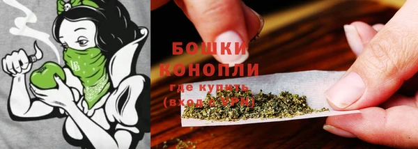 spice Армянск