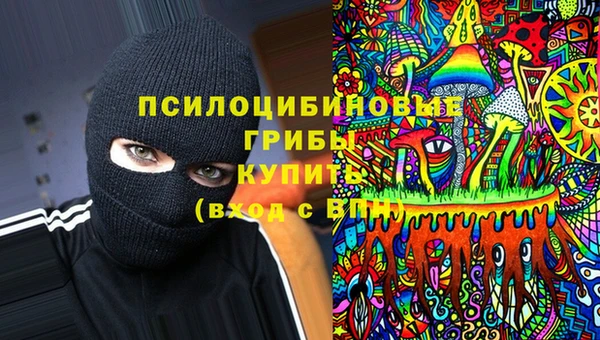 spice Армянск
