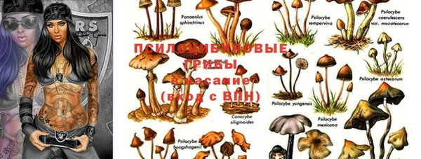 spice Армянск