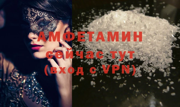 гидра Аркадак