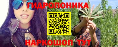 jwh Будённовск