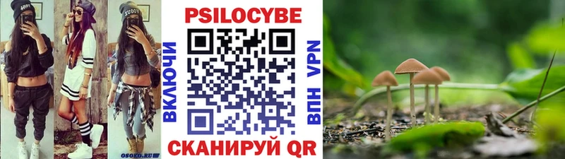 Псилоцибиновые грибы Cubensis  хочу наркоту  Белогорск 